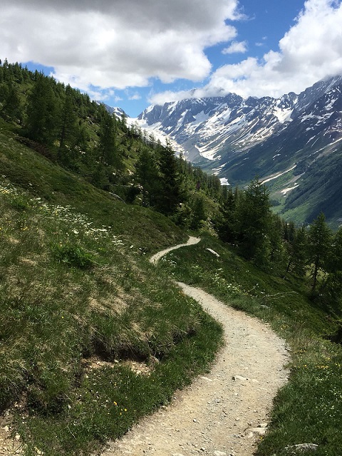 Un sentier dans la montagne