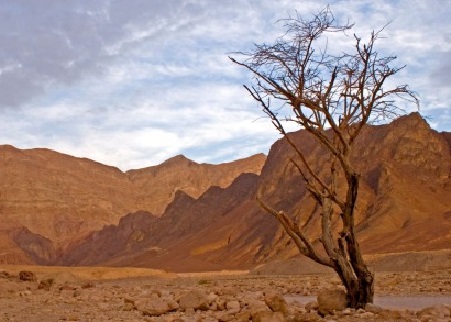 Un désert de rochers