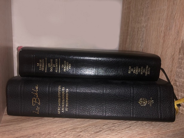 Le Livre de Mormon et La Bible