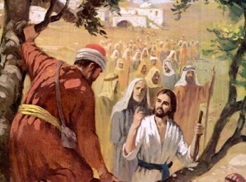 Jesus appelle Zachee perché sur un arbre