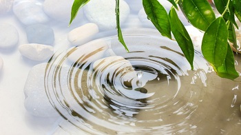 une source d'eau pure