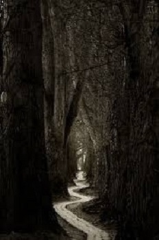 un chemin tortueux
