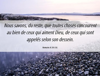 verset de la lettre aux Romains Rom 8:28